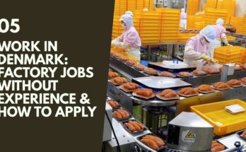 Work in Denmark: Factory Jobs Without Experience & How to Apply
