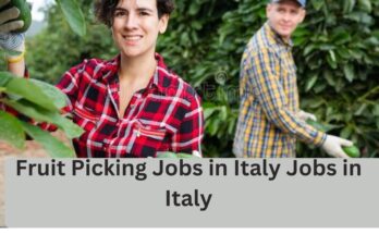 Fruit Picking Jobs in Italy Jobs in Italy