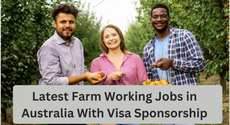 Latest Farm Working Jobs in Australia With Visa Sponsorship