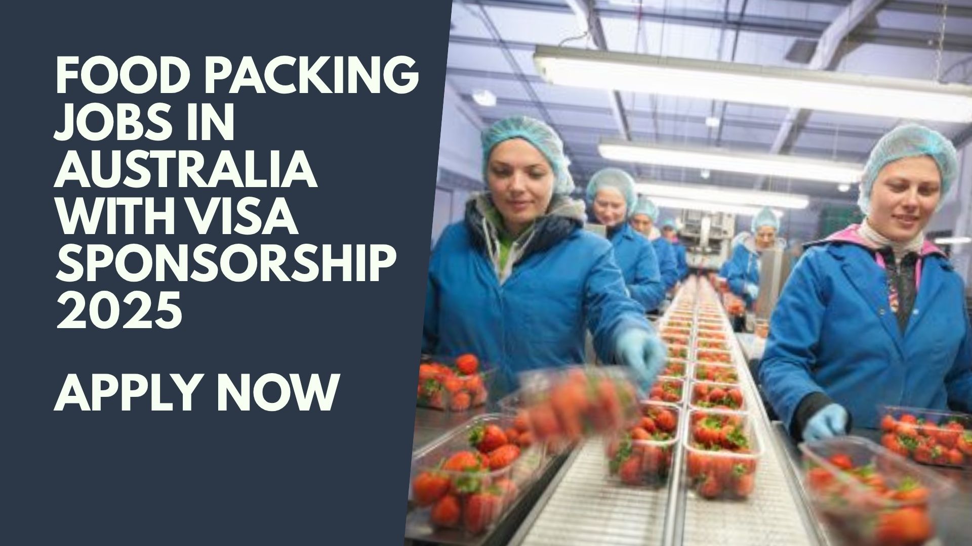 Food Packing Jobs in Australia with Visa Sponsorship 2025