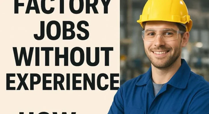 Work in Denmark: Factory Jobs Without Experience & How to Apply